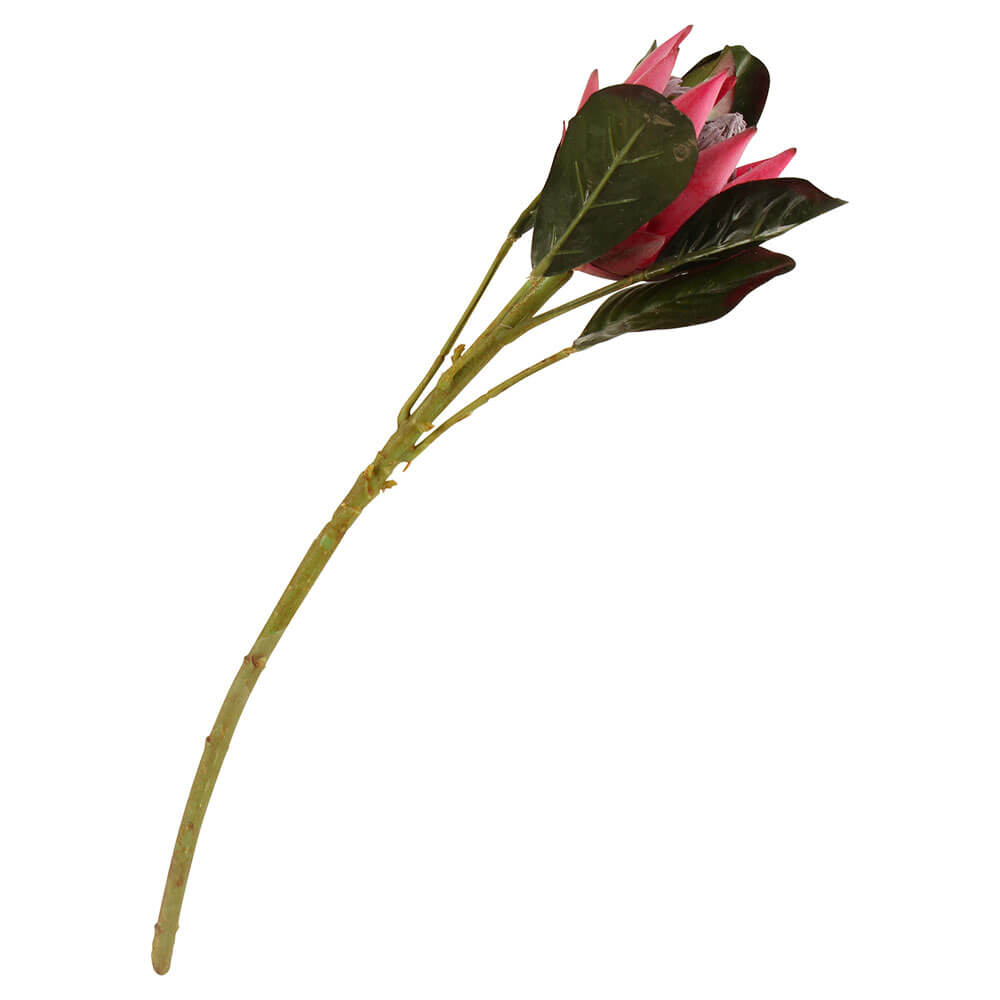 Imperatore artificiale Protea Flower 51cm
