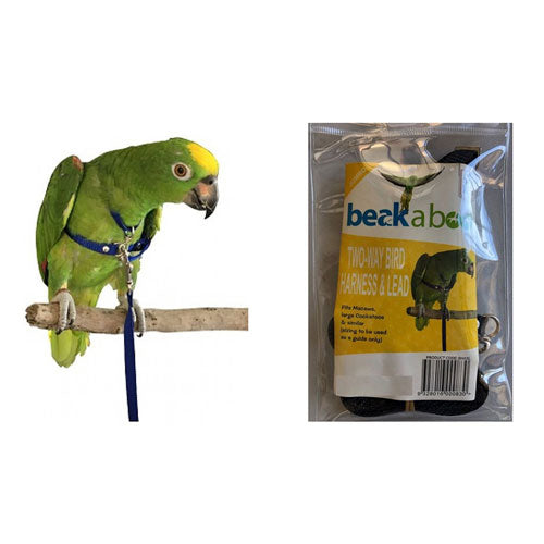 Pet Bird Harness