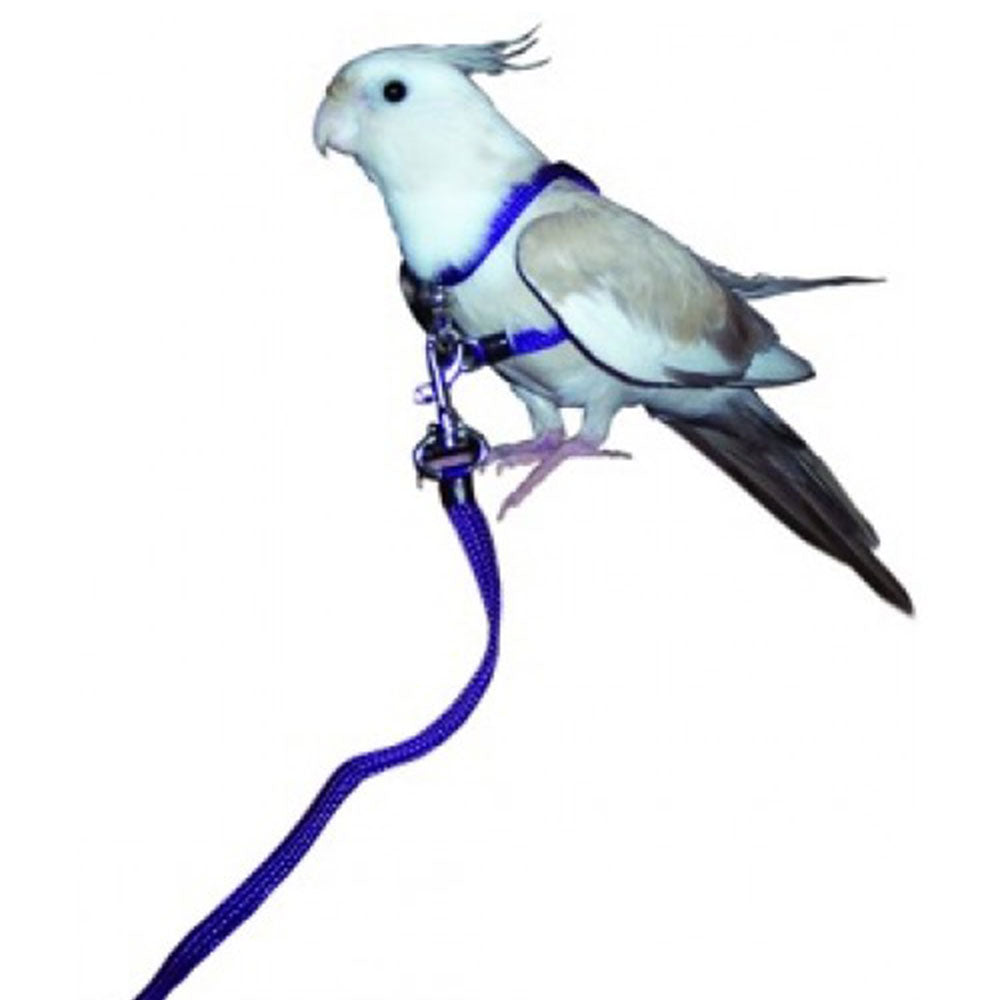 Pet Bird Harness