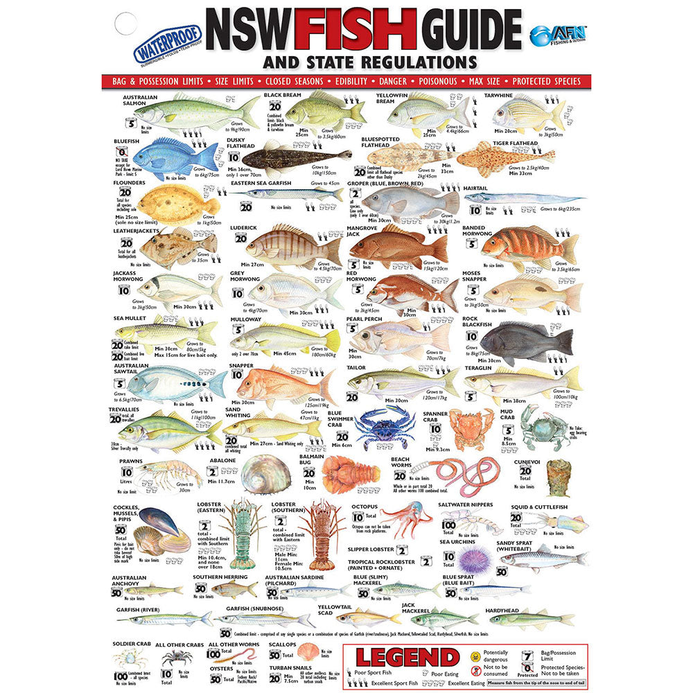 Cartão de identificação de peixes de vinil
