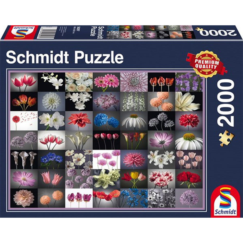 Schmidt Jigsaw Puzzle