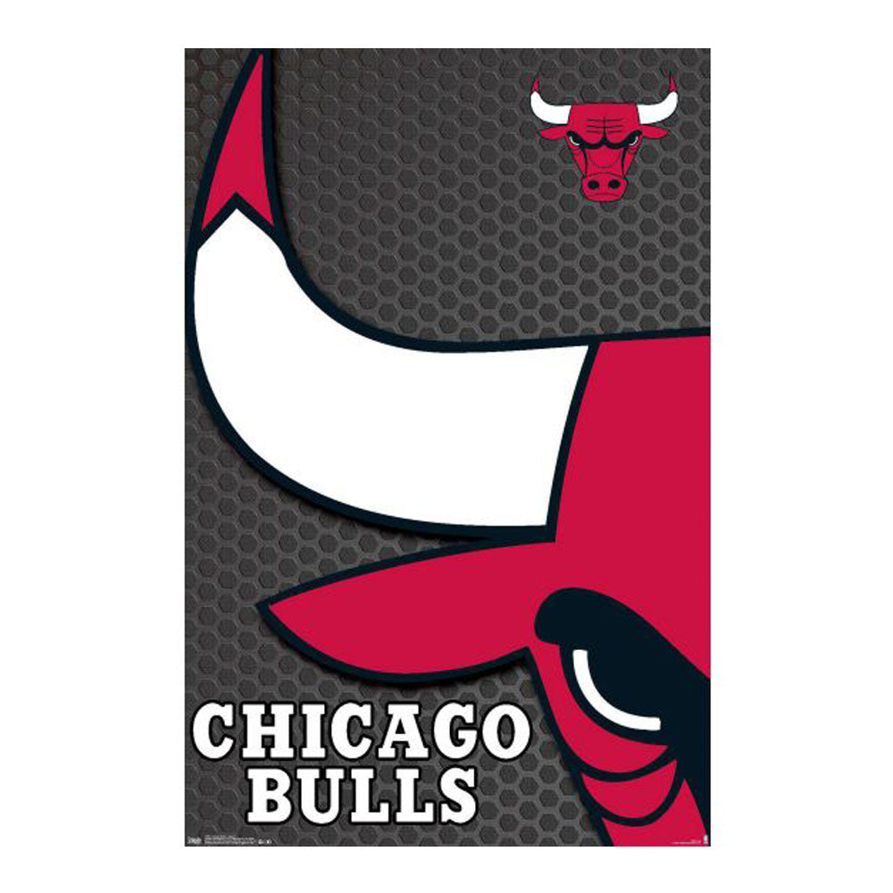 Affiche des taureaux NBA Chicago