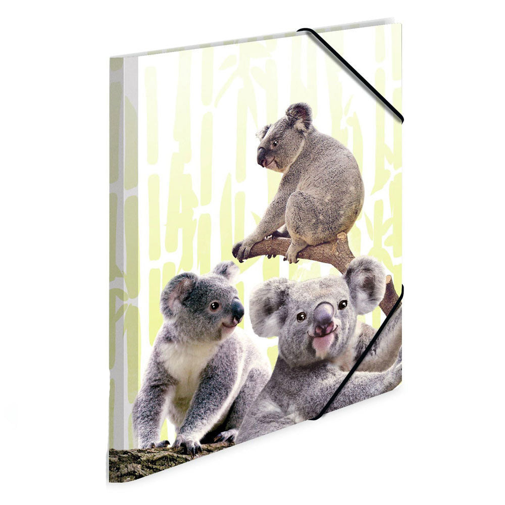 Herma elastyczna folder PP Koala Family