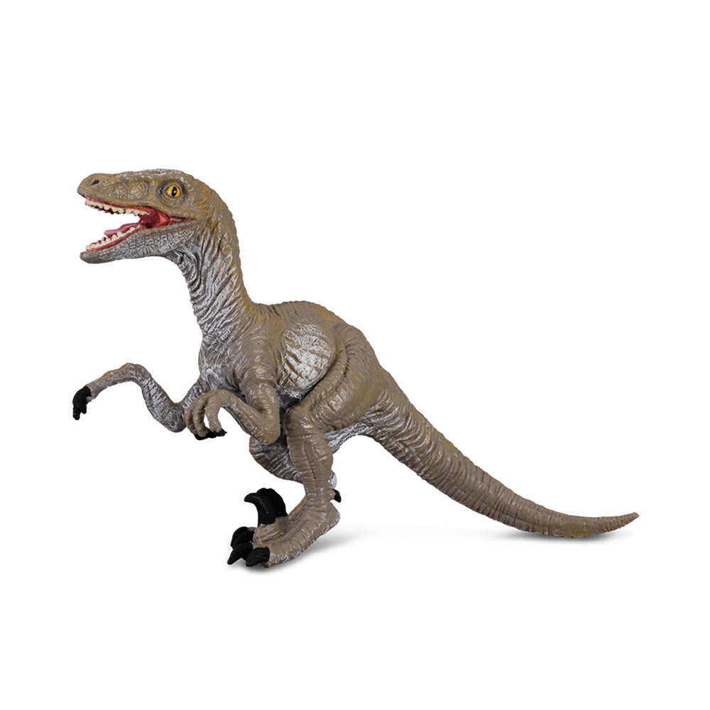 CollectA Velociraptor Dinosaur Figura