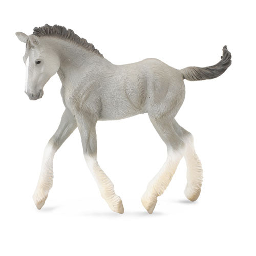 CollectA Shire Horse Foal Figure (Medium)