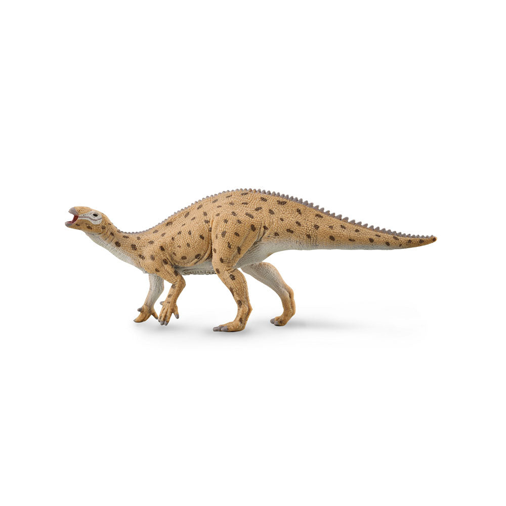 CollectA Fukuisaurus Dinosaur Figure (Medium)