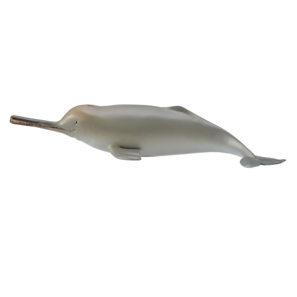 CollectA Ganges River Dolphin Figure (Medium)