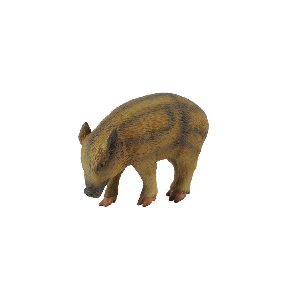 CollectA Wild Piglet Figure (Small)