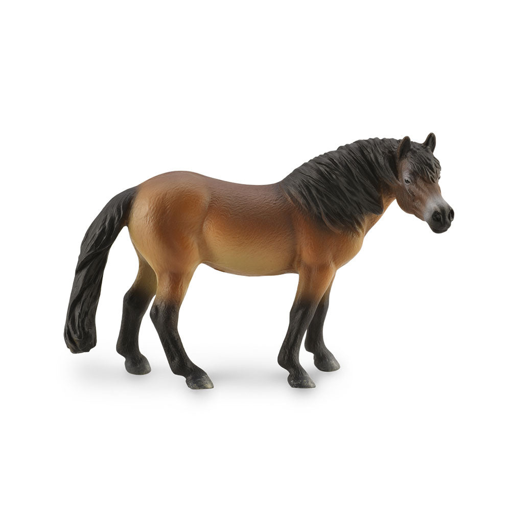 CollectA Exmoor Pony Stallion Figure (Large)