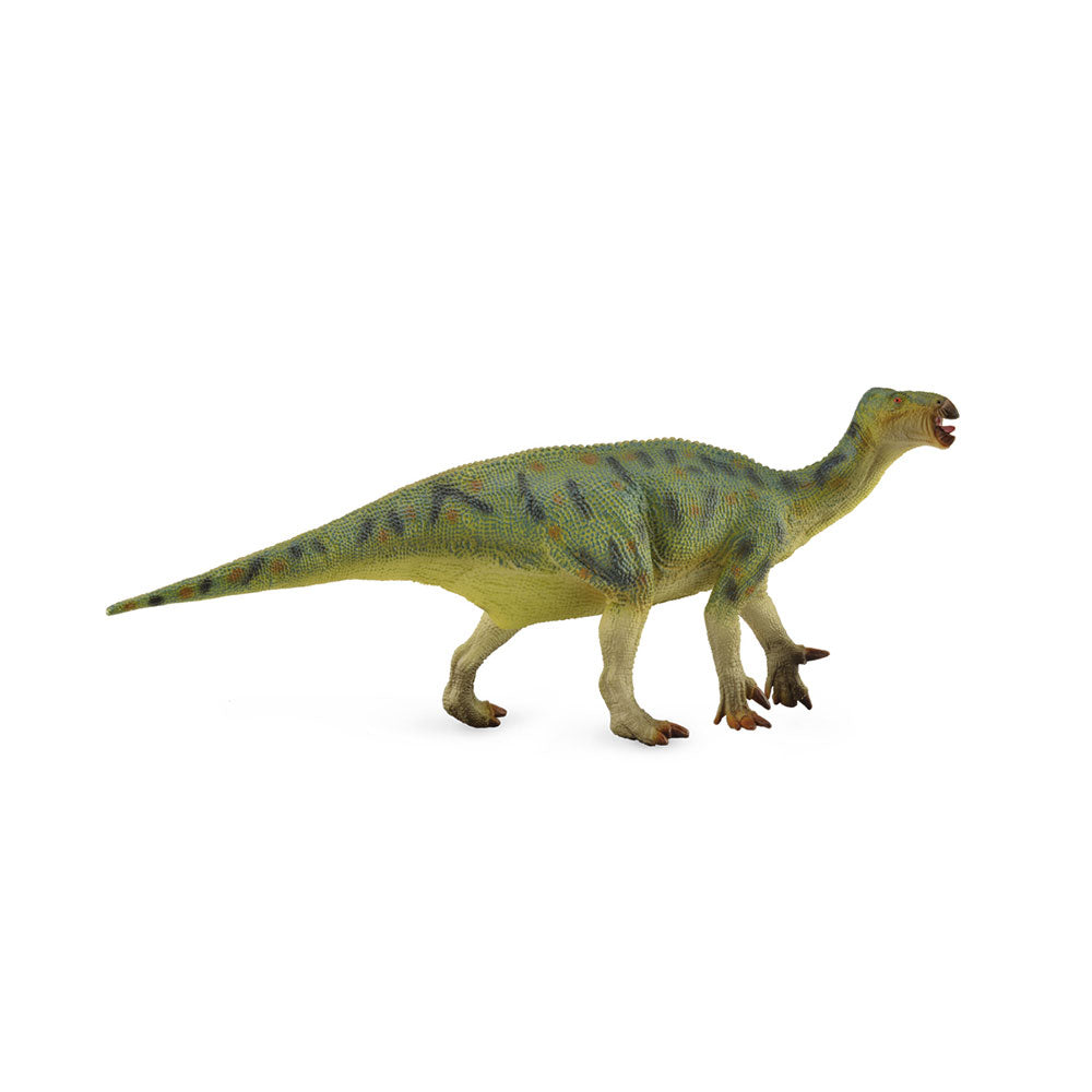 CollectA Iguanodon Dinosaur Figure