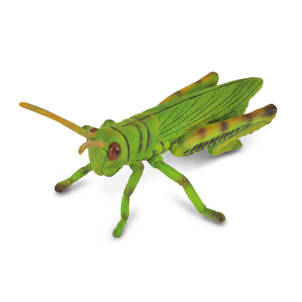 CollectA Grasshopper Figure (Medium)