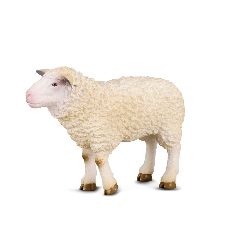 CollectA Sheep Figure (Medium)