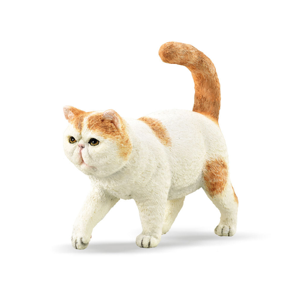 CollectA Exotic Shorthair Cat Figure (Small)