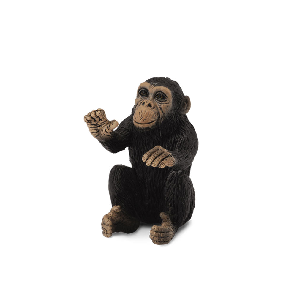 Figura cub di scimpanzé colelcta (piccola)