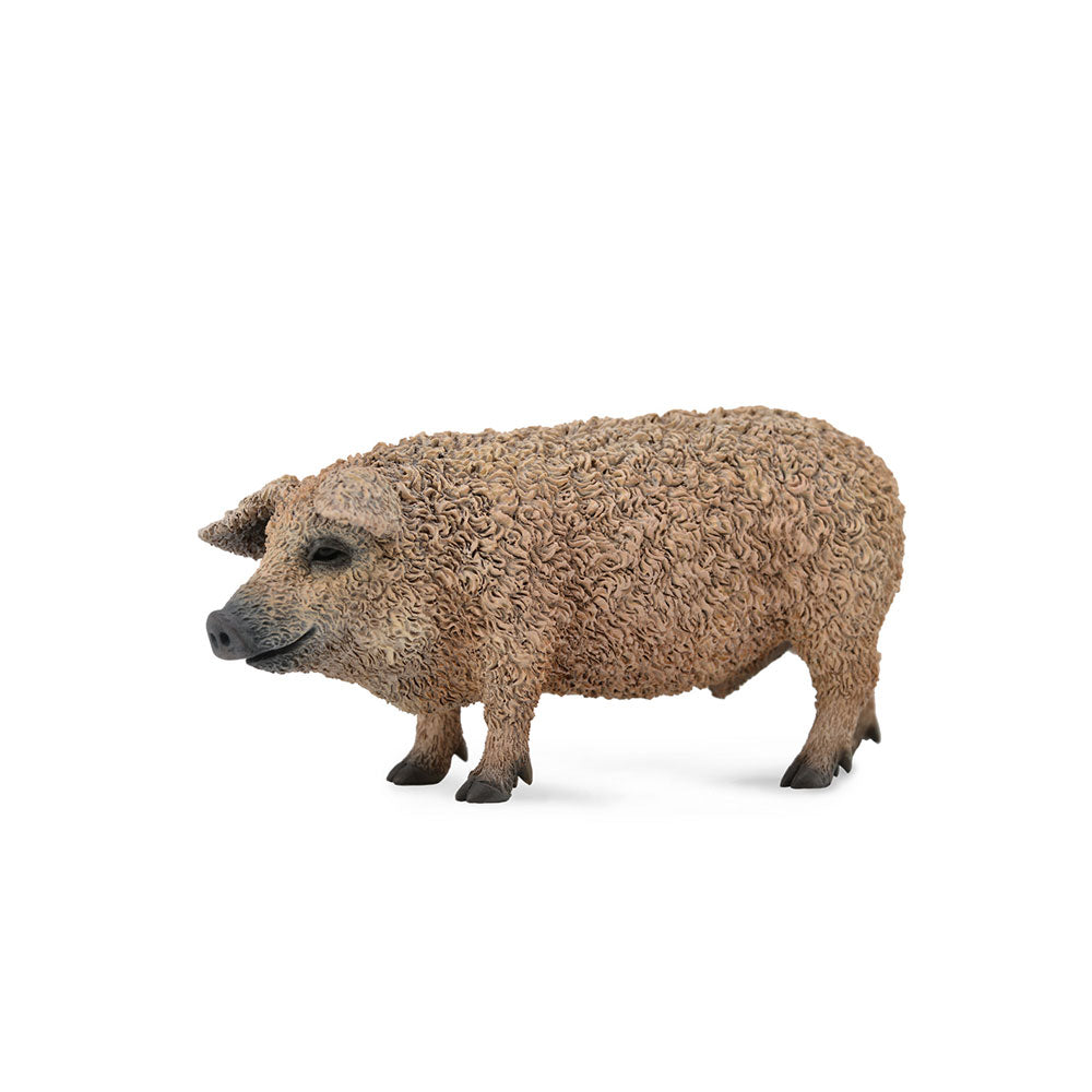 CollectA Hungarian Pig Figure (Medium)