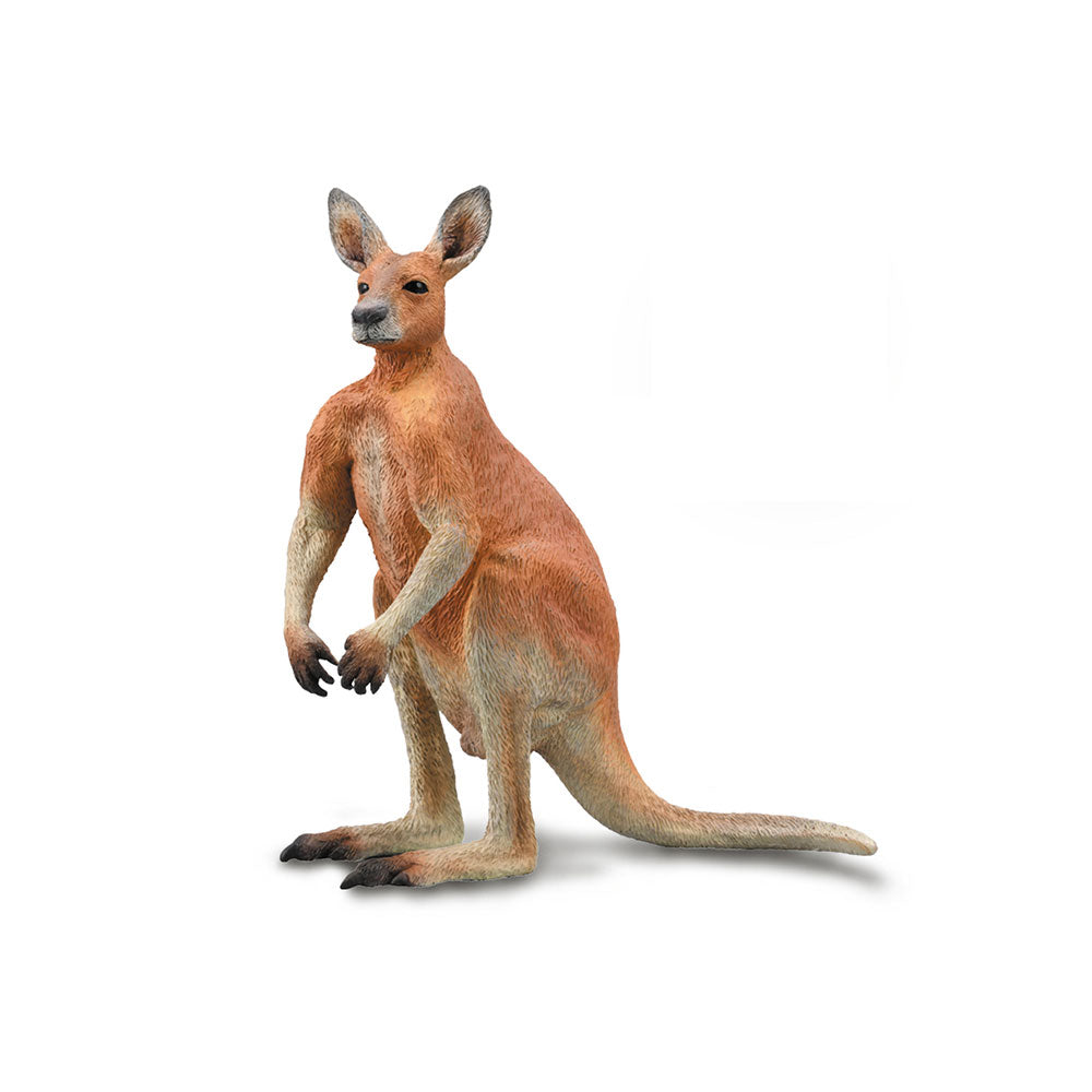 COLCA RED KANGAROO (Large)