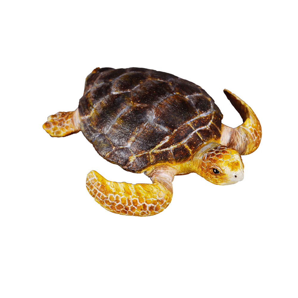 CollectA Loggerhead Turtle Figure (Medium)