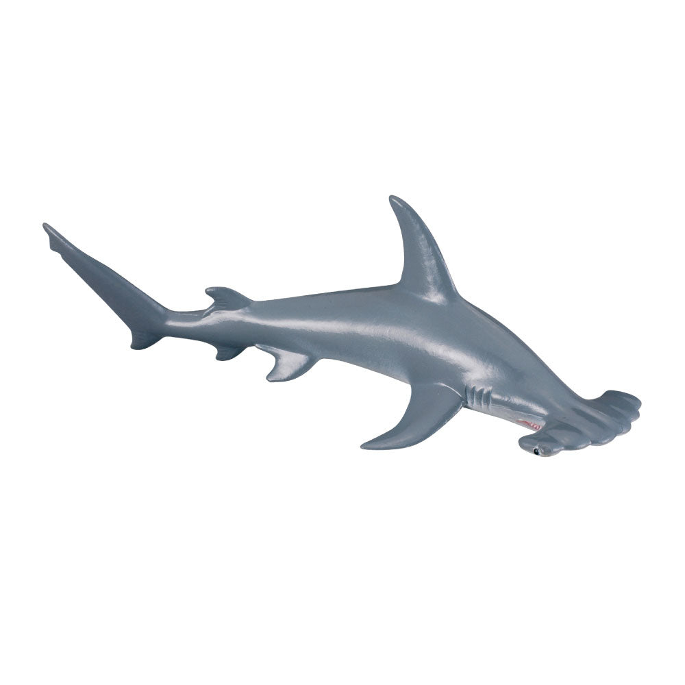 CollectA Scalloped Hammerhead Shark Figure (Medium)