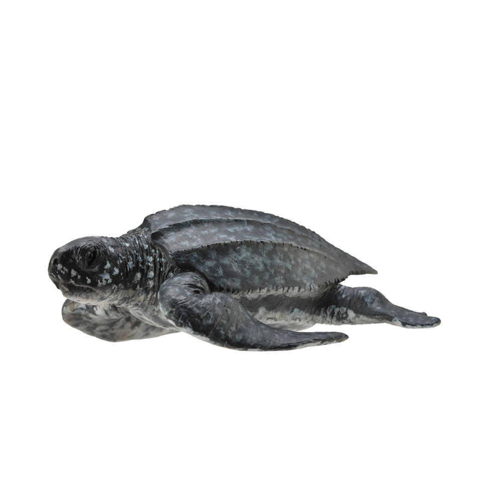CollectA Leatherback Sea Turtle Figure (Medium)