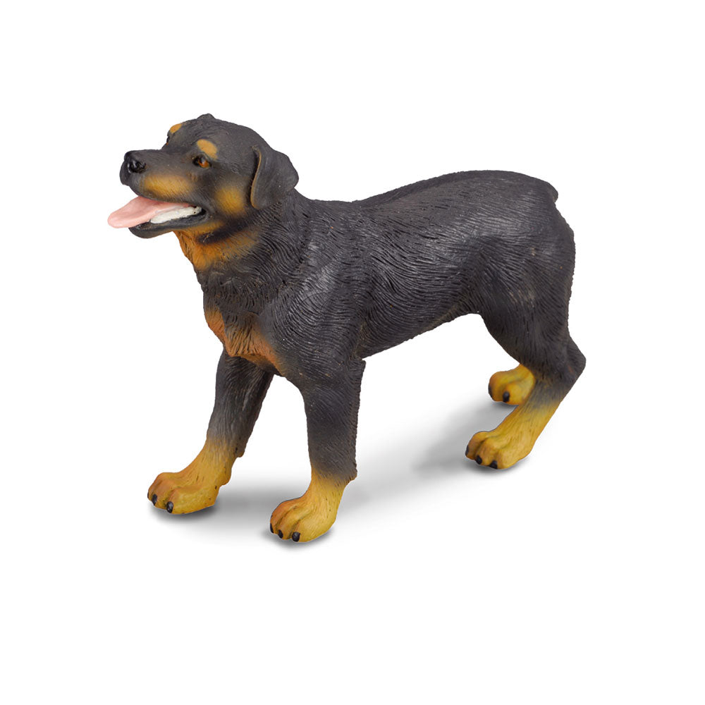 CollectA Rottweiler Figure (Large)