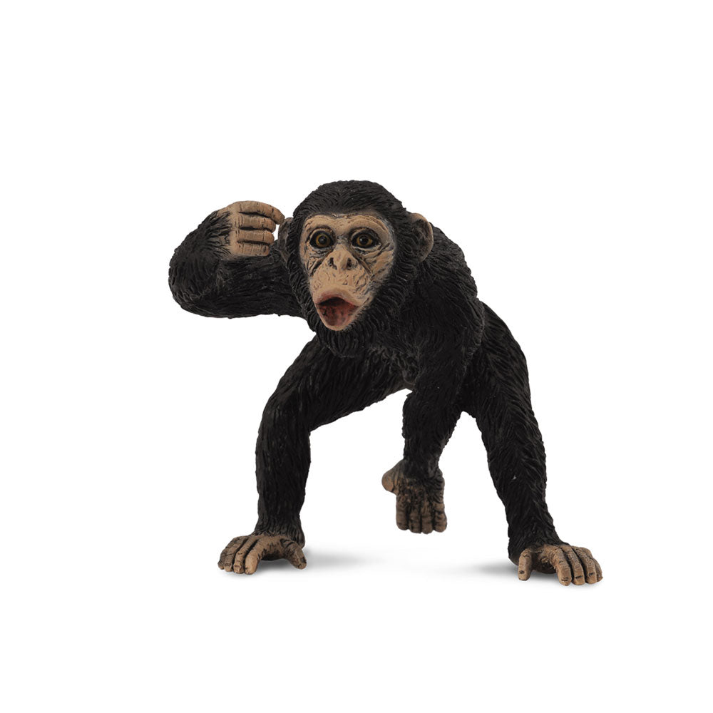 Figura de chimpanzé colecta (médio)