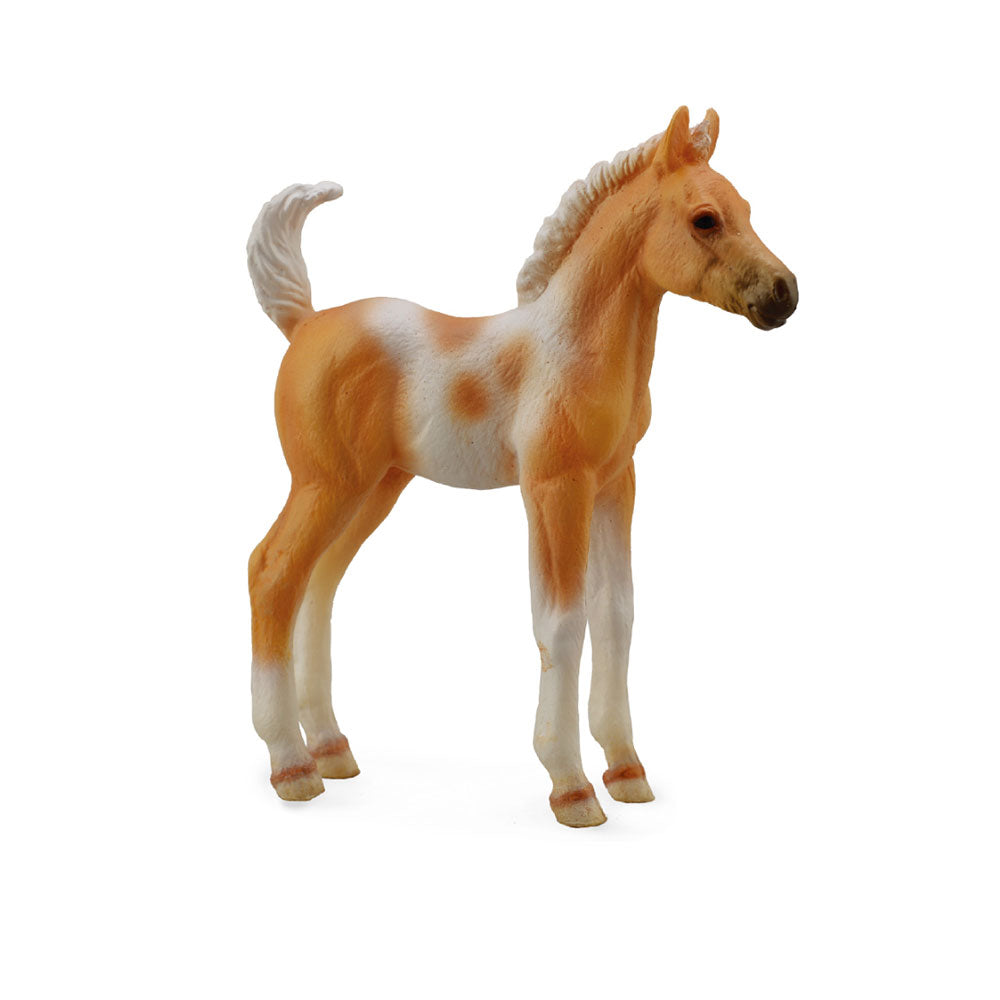 Collecta Pinto Foal Palominoフィギュア（中）