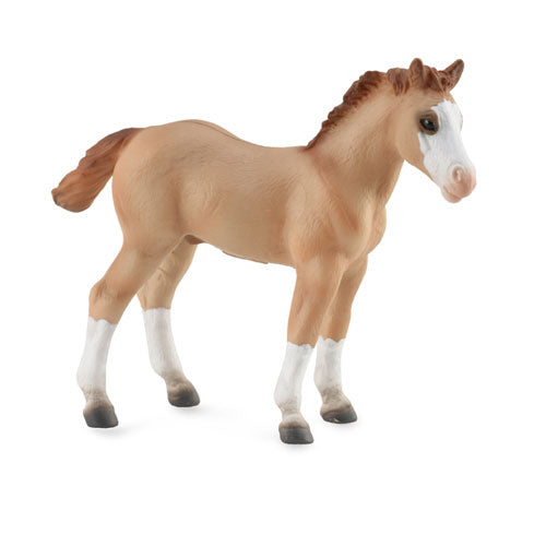 CollectA Quarter Foal Figure (Medium)