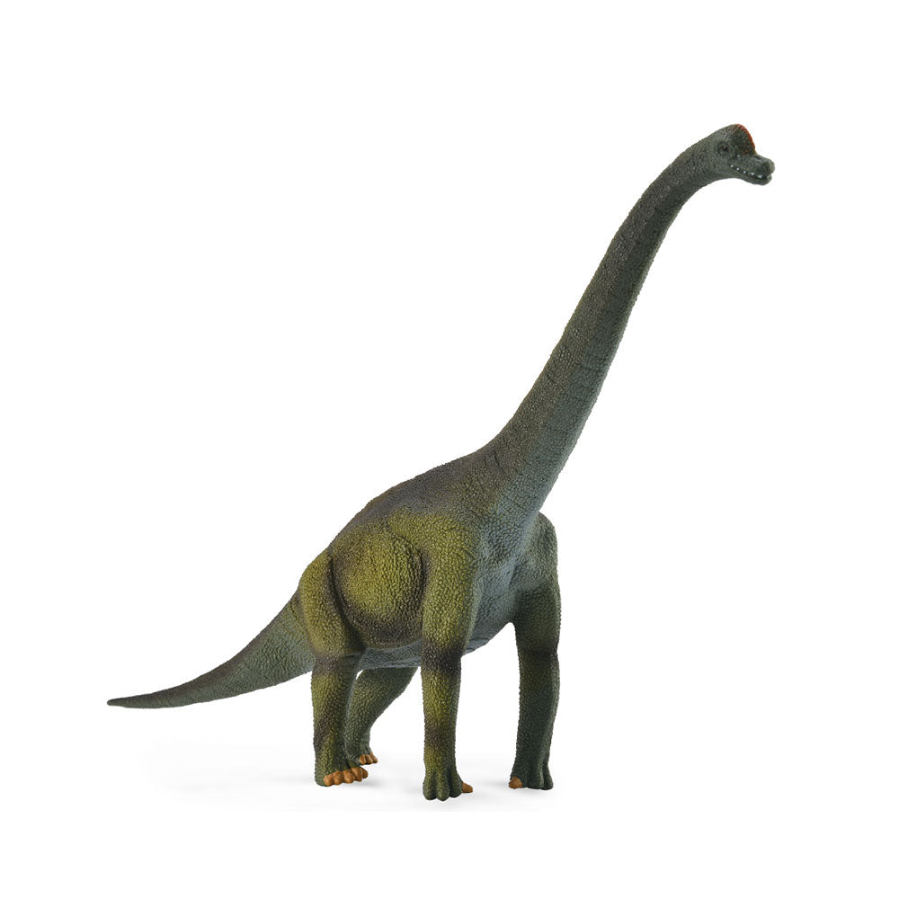 COLLA BRACHIOURURS DINOSAUR FIGUR