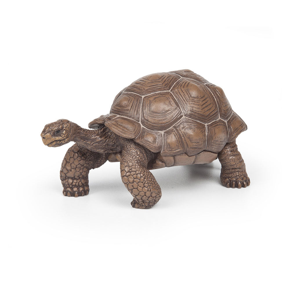 Papo Galapagos Tortoise Figurine