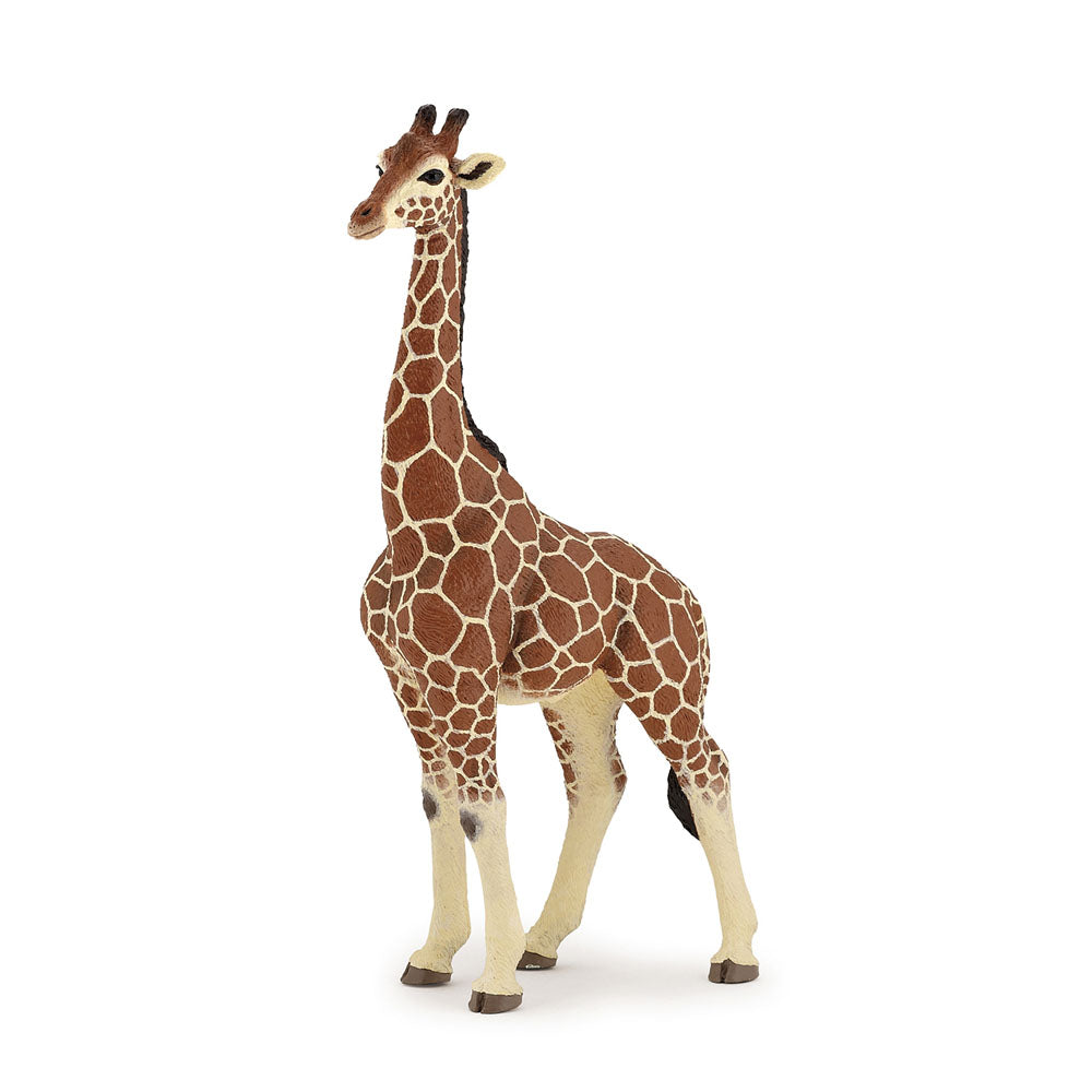 Papo Giraffe Male Figurine