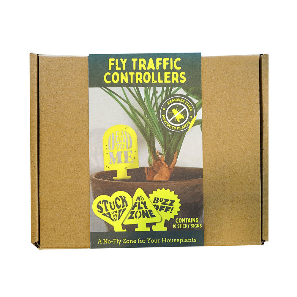 Fly Traffic Controllers