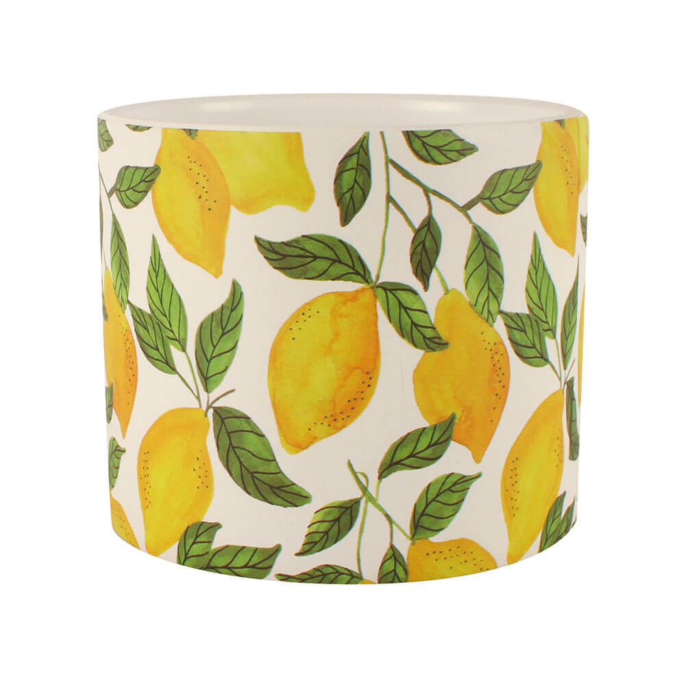 Pentola di pianta in ceramica al limone