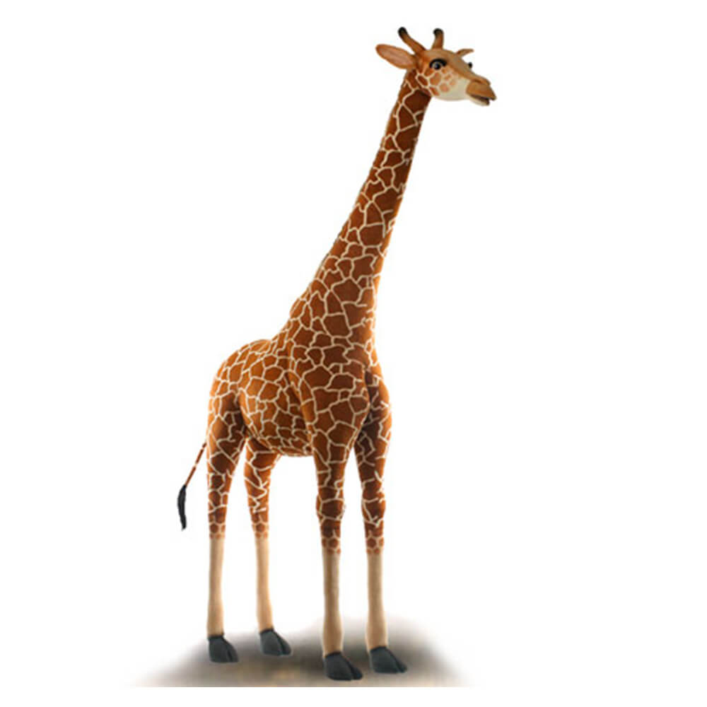 Grande girafa Safari