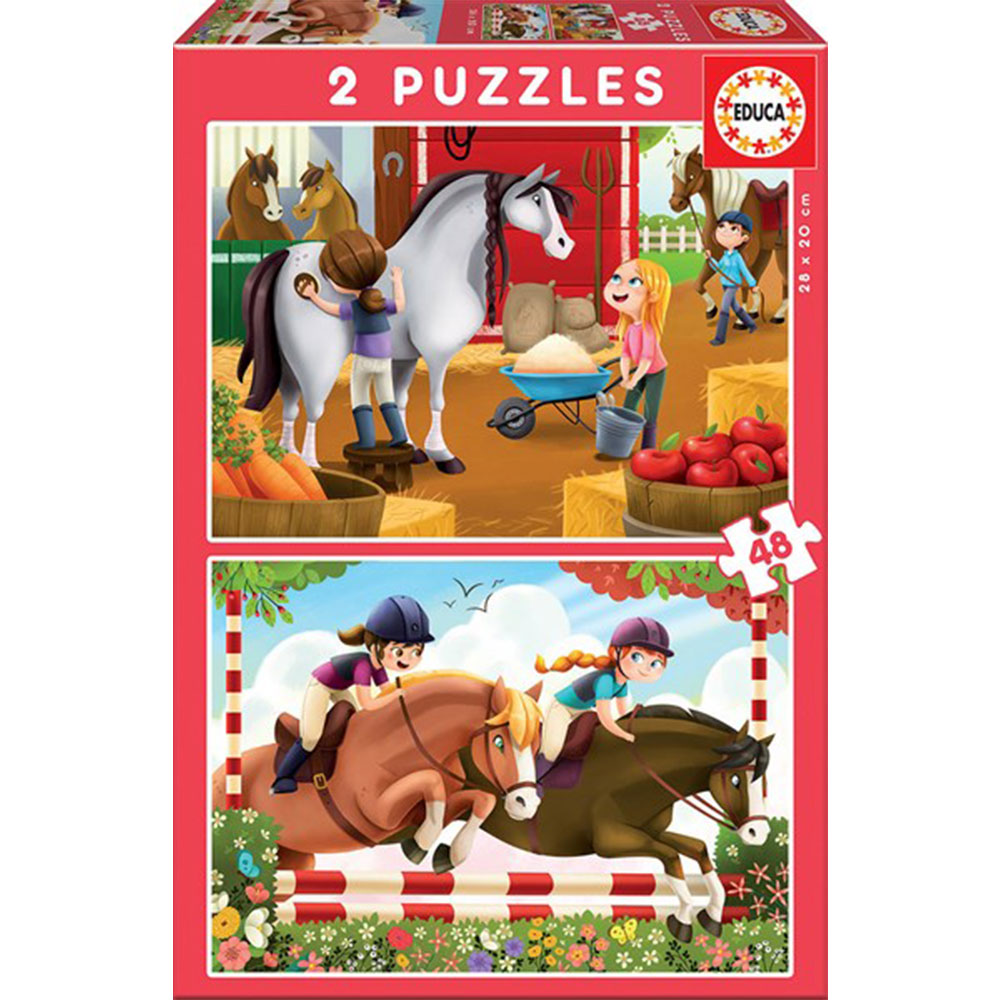 Education Puzzle Collection 2 sets avec 48 pcs