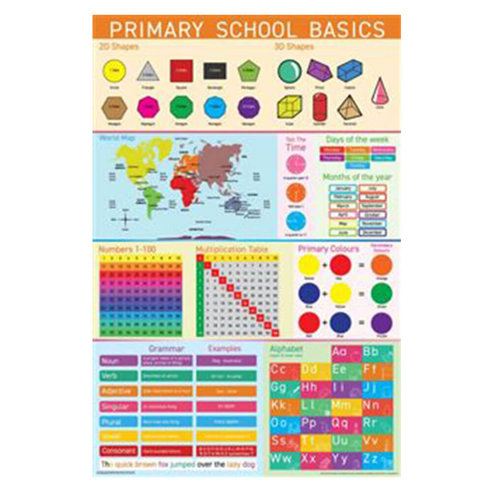 Primary School Basics Poster (61x91.5cm)