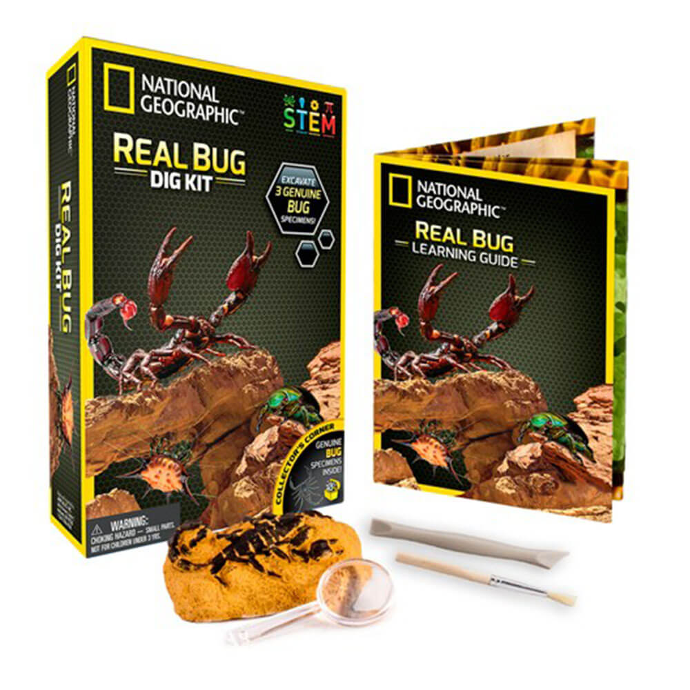 Science Kit Bug Excavation Kit